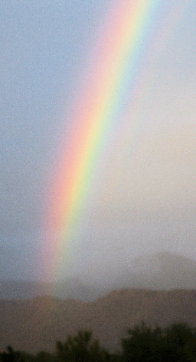 Mountain desert rainbow after monsoon rainstorm in McDowell Preserve